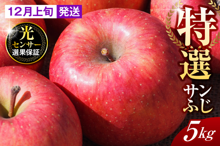 y2025N12{zyIz 5kg Tӂ X ܏쌴