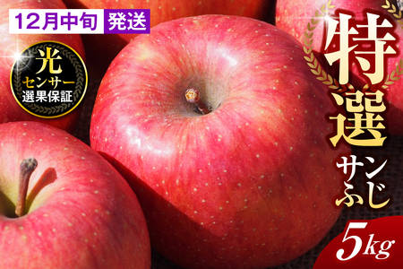 y2025N12{zyIz 5kg Tӂ X ܏쌴