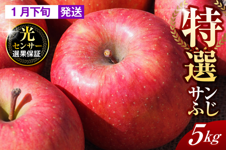 y2026N1{zyIz 5kg Tӂ X ܏쌴