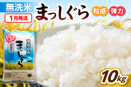 y1z 10kg XY ܂ ߘa7NYāiāj   R ͂  ܏쌴