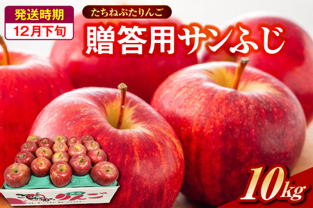 サンふじ 贈答規格 約10kg [2025年12月下旬発送]「たちねぷたりんご」 青森県 五所川原市