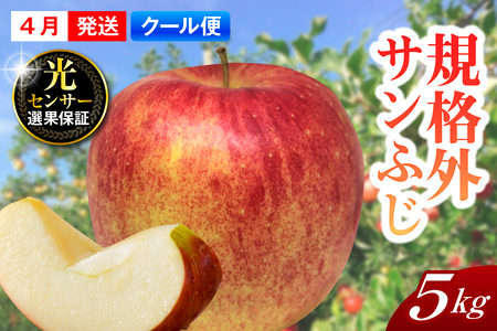 【2026年4月上旬発送】【規格外】 りんご 約5kg サンふじ スマートフレッシュ™貯蔵 または CA貯蔵 【クール便】 青森県産