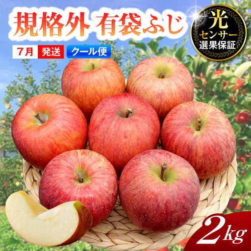 【2026年7月上旬発送】【規格外】 りんご 有袋ふじ 約2kg スマートフレッシュ™貯蔵 または CA貯蔵 【クール便】 青森県産