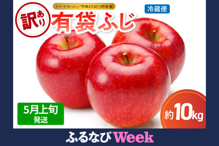 [ふるなびWEEK対象][2026年5月上旬発送][訳あり]りんご10kg有袋ふじ[スマートフレッシュTM貯蔵またはCA貯蔵・クール便]FN-Limited-WE
