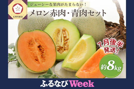 【ふるなびWEEK対象】【2026年7月後半発送】津軽のメロン 約8kg (赤肉・青肉セット) 4～6玉・秀～優 青森県産 FN-Limited-WE