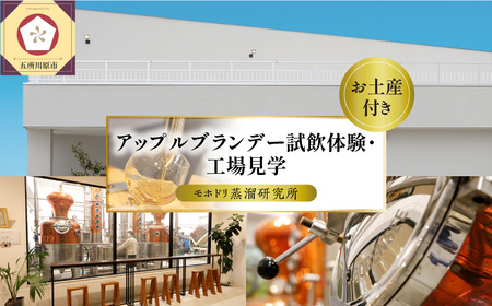 アップルブランデー 醸造所見学チケット 1名様分 [モホドリ蒸溜研究所] [試飲・お土産付] ツアー りんご 酒 工場見学 体験 旅行 チケット 観光 青森県五所川原市