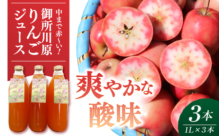 御所川原りんごジュース (1L×3本) / ストレート果汁100% 果肉まで赤〜いりんご「御所川原」使用 りんごジュース