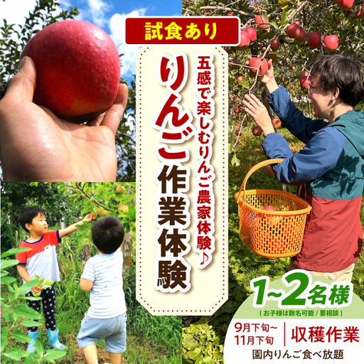 体験型 りんご収穫(9月下旬〜11月下旬)大人2人まで青森県五所川原市