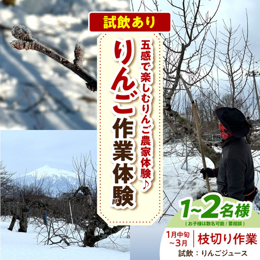 体験型 りんご作業体験(枝切り/1月中旬〜3月)大人2人まで青森県五所川原