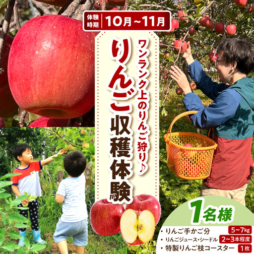 収穫体験 りんご狩り 1組 青森県五所川原市 りんご収穫