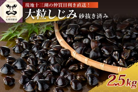 しじみ 津軽十三湖産大粒しじみ2.5kg(冷凍・砂抜き済)