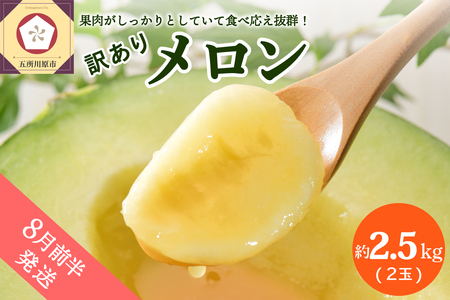 �y2026�N8���O�������z�y�󂠂�z������ ��2.5kg �� 2�� �X�Y