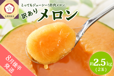 �y2026�N8���㔼�����z�y�󂠂�z ������ 2.5kg���x (�ԓ� 2��) �X���Y