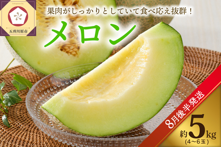 y2026N8㔼z  5kgx  (4`6) XY