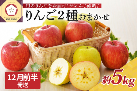 [2024年12月前半発送] りんご 青森産 約5kg サンふじ 確約 品種おまかせ2種以上 贈答用 特選〜特秀