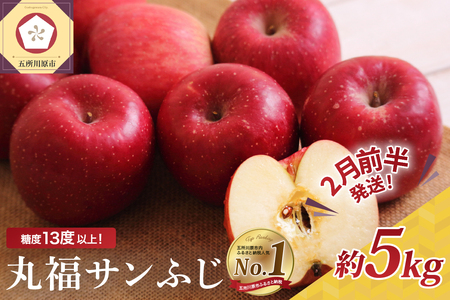 y2026N2Oz  XY 5kg ە Tӂ ZT[ I x 13xȏ