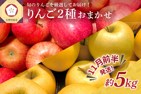 [2024年11月前半発送] りんご 青森産 約5kg 品種おまかせ2種以上 贈答用 特選〜特秀