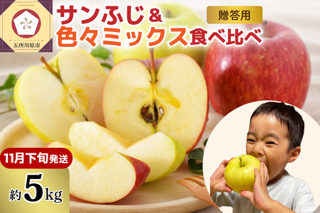 [2025年11月下旬発送]りんご青森産約5kg津軽から完熟サンふじ&色々ミックス贈答用