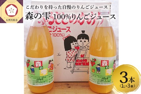 りんごジュース 農家のこだわり100%ストレート 1L×3本