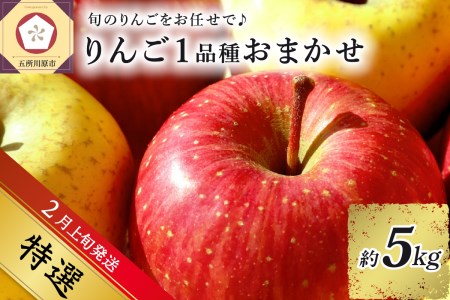 【2023年2月上旬発送】 【特選】 旬の美味しい りんご 約5kg 青森産 【おまかせ1品種】