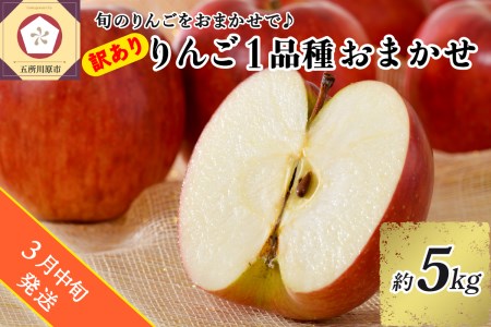 【2025年3月中旬発送】 【訳あり】 旬の美味しい りんご 約5kg 青森産 【おまかせ1品種】