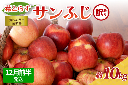 りんご [2025年12月前半発送][訳あり]葉とらずりんご 約10kg サンふじ 葉とらず 青森りんご サンふじりんご