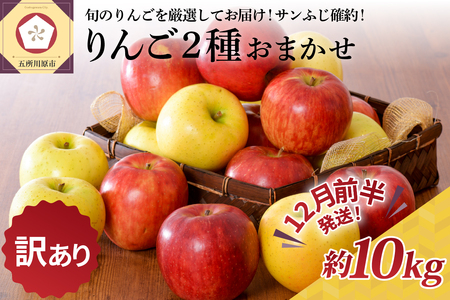 [2024年12月前半発送][訳あり] りんご 約10kg サンふじ確約 青森産 品種おまかせ2種以上