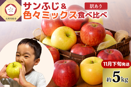 [2025年11月下旬発送][訳あり]りんご5kg青森産家庭用完熟サンふじ&色々ミックス