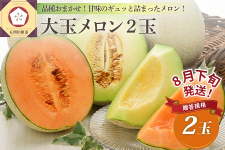 メロン　贈答大玉2個【2024年8月下旬発送】贈答規格メロン 大玉2個 青森メロン 五所川原メロン