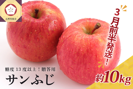 y2026N3Oz  10kg Tӂ XY x 13xȏ@p I`G