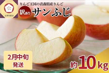 【2026年2月中旬発送】 【訳あり】 りんご 約10kg サンふじ 青森産