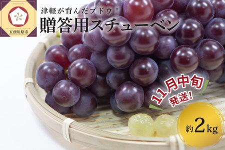 【2024年11月中旬発送】 青森ぶどう 贈答用 スチューベン 約2kg 化粧箱入