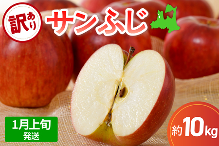 りんご　【2025年1月上旬発送】【訳あり】 りんご 10kg サンふじ 青森 不揃い サンふじりんご