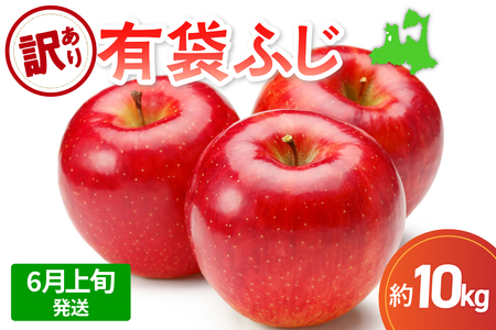 �y2026�N6����{�����z�y�󂠂�z���10kg�L�܂ӂ��y�X�}�[�g�t���b�V��TM�����܂���CA�����E�N�[���ցz