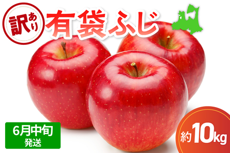 �y2026�N6�����{�����z�y�󂠂�z���10kg�L�܂ӂ��y�X�}�[�g�t���b�V��TM�����܂���CA�����E�N�[���ցz