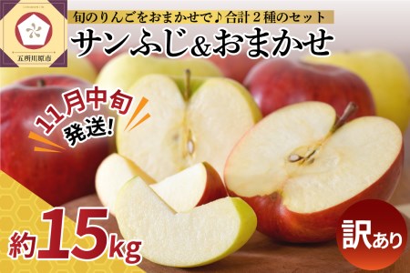 【2025年11月中旬発送】【訳あり】 りんご 15kg 詰め合わせ 計2種(サンふじ と 他1種) 不揃い フルーツ 家庭用