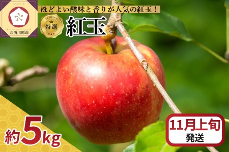 [2024年11月上旬発送] りんご 5kg 紅玉 青森