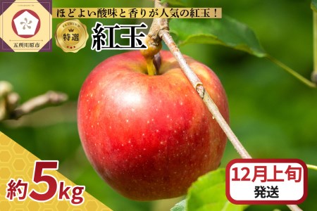 [2024年12月上旬発送] りんご 5kg 紅玉 青森