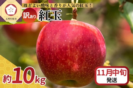 y2025N11{zy󂠂z  10kg g AbvpC ɍœK X s