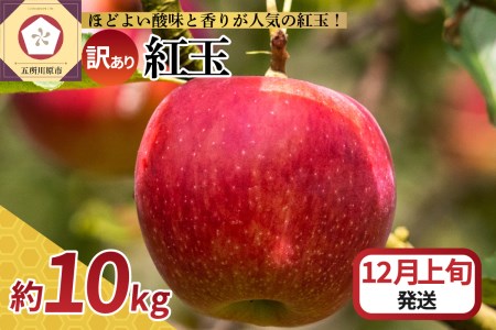 [2024年12月上旬発送][訳あり] りんご 10kg 紅玉 アップルパイ に最適 青森 不揃い