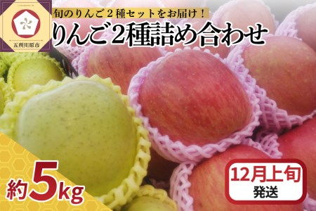 [2024年12月上旬発送] りんご 5kg サンふじ 王林 他 紅白 詰め合わせ 青森