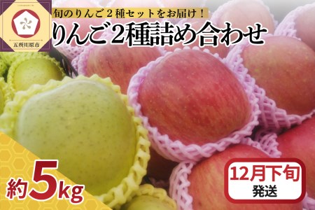 [2024年12月下旬発送] りんご 5kg サンふじ 王林 他 紅白 詰め合わせ 青森