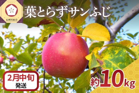 y2026N2{z t炸Tӂ 10kg x X