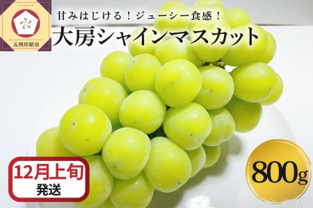 [2024年12月上旬発送] シャインマスカット 大房 800g 青森産