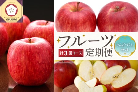 [2024年9月発送開始] おいしい3種類☆フルーツ定期便[3回](りんごづくし)りんご