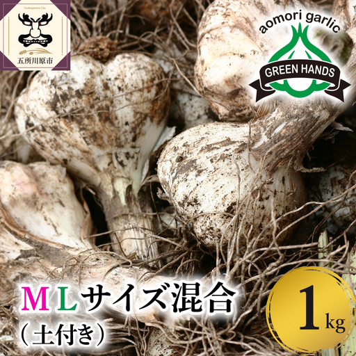 にんにく　生にんにく1kgＭＬサイズ混合土つき2026年6月下旬～発送