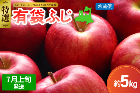 【2026年7月上旬発送】≪特選≫りんご有袋ふじ5kg (スマートフレッシュTM貯蔵またはCA貯蔵・クール便)