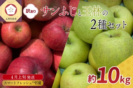 りんご [2026年4月上旬発送] 訳あり 10kg春のサンふじ王林/スマートフレッシュTM貯蔵青森