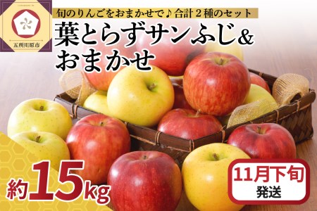 [2025年11月下旬発送] りんご 15kg 詰め合わせ 計2種(葉とらず サンふじ と 他1種)