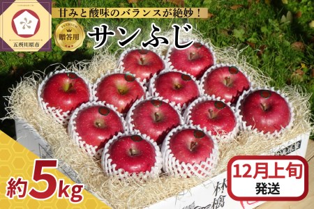 りんご 贈答用[2025年12月中旬発送]サンふじ約5kg_青森県五所川原市_さとうりんご園